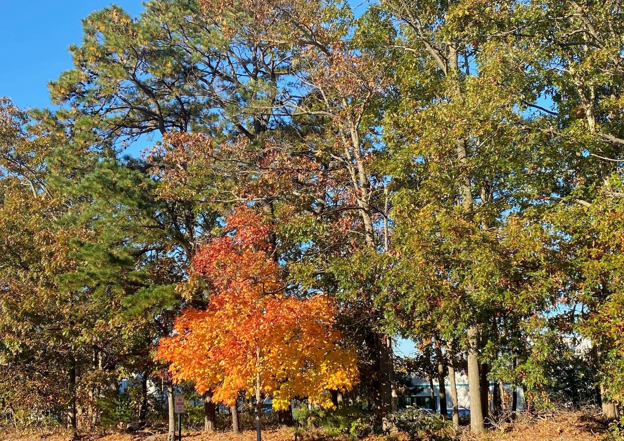 Clarion Hotel & Conference Center Toms River Bagian luar foto